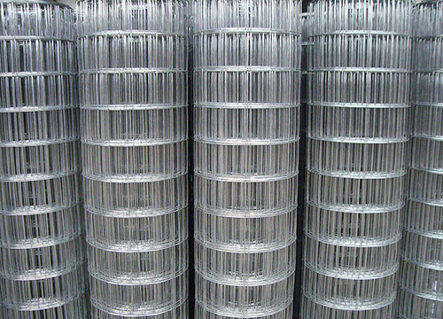 江蘇Circle Corn Welded Wire Mesh圖片3